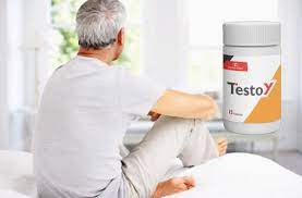 Testoy review 3